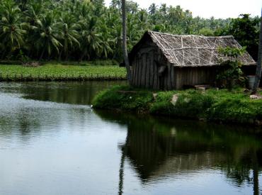 Treasures of Northern India