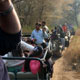 tiger safari ranthambore rajasthan