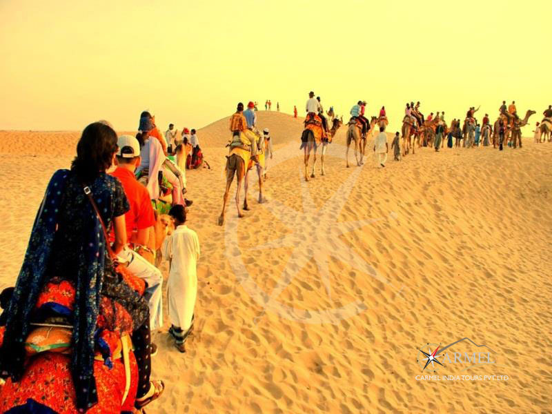 Jaiselmer Tour and Travel Info