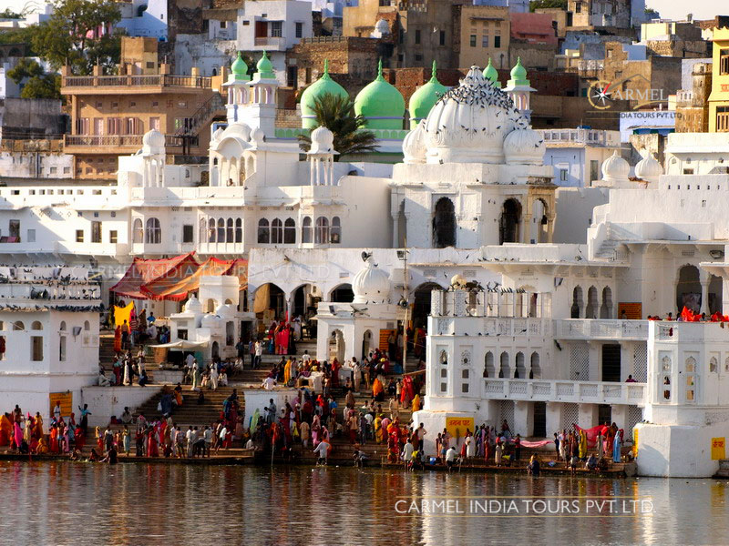 Pushkar Tour and Travel Info