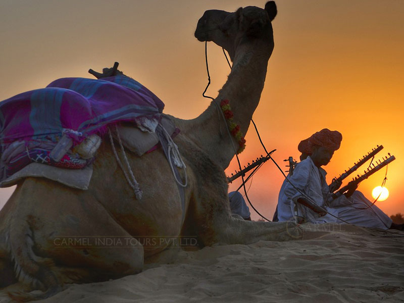 Camel Safari Jaisalmer Tour package
