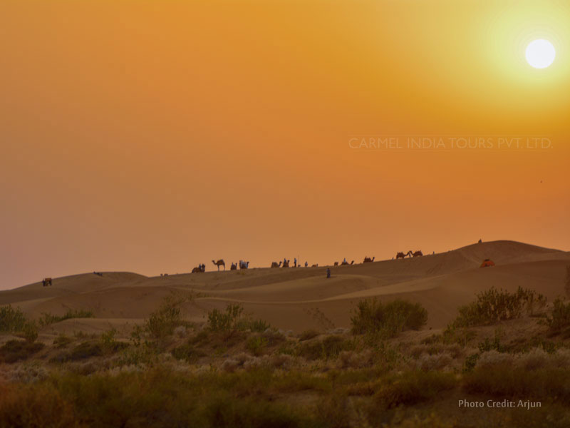 Camel safari in jaisalmer thar desert
