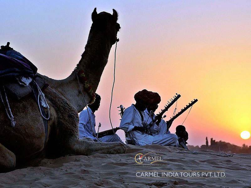 Camel safari in pushkar rajasthan