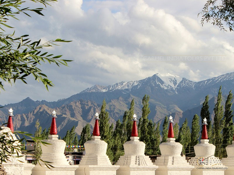 shey gompa ladakh tour