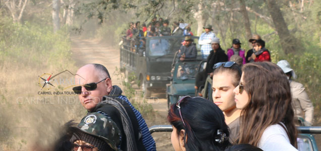 Tiger Safari Ranthambore National Park